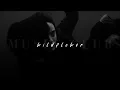 Download Lagu Billie Eilish, WILDFLOWER | sped up |