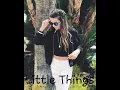 Annie LeBlanc ~ Little Things ( Audio )
