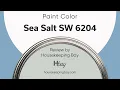 Sea Salt SW 6204 Green Paint Coordinating Colors Trim Colors That Go With Undertones