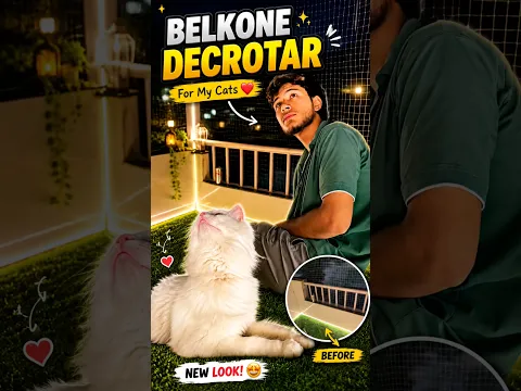BELKONE DECROTAR π #shorts #trending #viral #cats