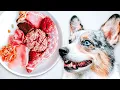 Download Lagu How To Raw Feed Your Dog (Ultimate Beginner's Guide)