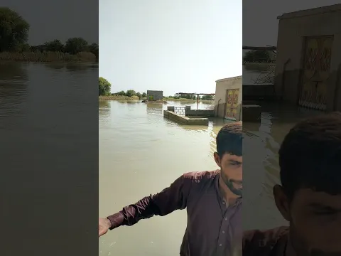 Flood in river Sutlej #shorts #viral #reels