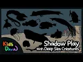 Shadowpaly with Deep Sea Creatures Deep Sea Animals Quiz Let s meet deep sea animals Kids Draw