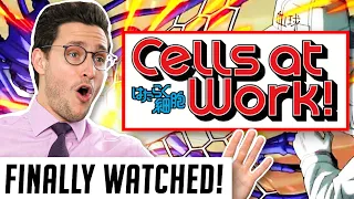 Download Real Doctor Reacts to CELLS AT WORK (Hataraku Saibō) MP3