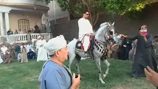 أفراح البوابة العمدة كريم الله يرحمه 