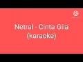 Download Lagu Netral - Cinta Gila (karaoke)
