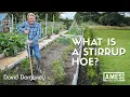 Why the Stirrup Hoe is one of the Best Gardening Tools