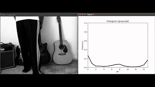 Real-time histograms using OpenCV-Python