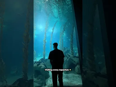 Visiting every aquarium in the world! 🐠 #portugal