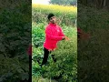 Download Lagu Ladki badhi anjaani hai #shorts #trend #viral #new #viralvideo 18 January 2023