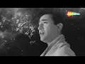 Main Zindagi Ka Saath Nibhaata Chala Gaya | Mohd. Rafi | Dev Anand | Hum Dono (1961)