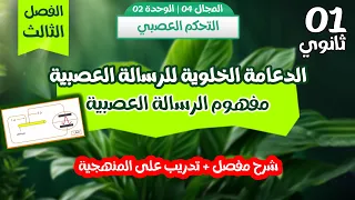 شرح مفصل لمفهوم الرسالة العصبية كمون الراحة كمون العمل سنة أولى ثانوي 