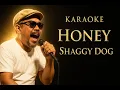 Download Lagu Honey - Shaggy dog Karaoke