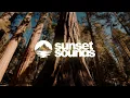 Kingfishr - The Sun Will Never Settle | Lyrics