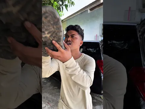 Sewa tenda keliling