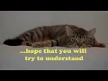 Download Lagu I Want You To Want Me by Solid Harmonie (Lyrics Video)