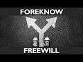 303 Foreknowledge and Free Will 1 (Dale Tuggy Introducing Open Theism)