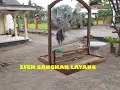 Download Lagu Kelebihan dan Kekurangan Sangkar Layang