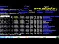 ls command in Bash
