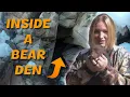 Download Lagu Inside a Bear Den | Face-to-Face with a Hibernating Bear | Adorable Bear Cubs