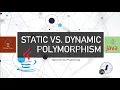 Static Vs Dynamic Polymorphism