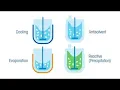4 Recrystallization Methods for Increased Yield