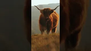 ليس هناك جمال أجمل من جمال الطبيعة إلا خالقها 