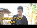 Download Lagu KONCI #171 | KOMEDI NGAPAK CILACAP | URUNAN TUKU AYAM