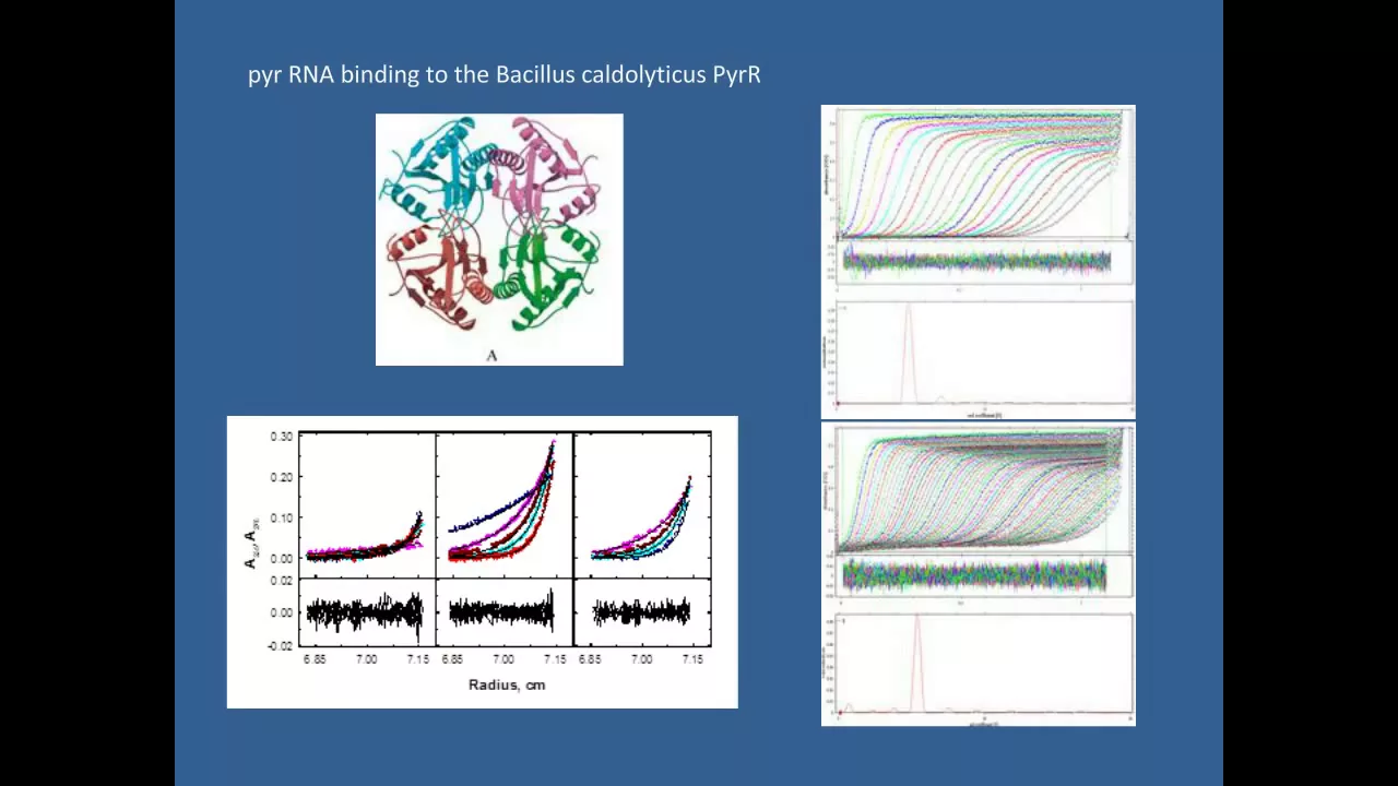 John Burgner - Quantitative determination of reaction stoichiometry, interaction energies, and solut