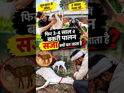 शुरुआत में जोश… 2 साल तक मज़ा… फिर 3–4 साल में बकरी पालन सजा क्यों बन जाता है?🐐😰#RGF #goats #facts