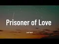 Download Lagu Josh Tatofi - Prisoner of Love (Music Video Lyrics)