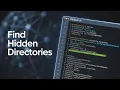 STOP Missing Hidden Endpoints Master Dirsearching and Fuzzing Now