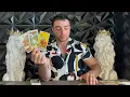 Download Lagu CAPRICORN - Yes, This CONVERSATION Happens BECAUSE Of The MASSIVE CHANGE Coming In Your Life! 22-28