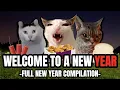 Cat MEMES WELCOME TO A NEW YEAR - FULL NEW YEAR COMPILATION