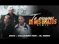 Download Lagu ECKO, Callejero Fino, El Perro - Te Escapas De Mis Brazos (Remix) (Video Oficial)