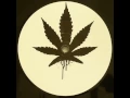 Download Lagu Alborosie - herbalist dubstep remix by NUMA CREW