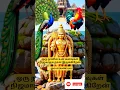 Download Lagu ஒரு நாளில் உன் கனவுகள் நிஜமாகும்,நான் இருக்கிறேன்✋🏻ஓம் சரவணபவ! #முருகன் #முருகன்பாடல்கள் #முருகா