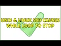 Unix Linux SSH causes while loop to stop