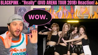 Download BLACKPINK - Really (DVD ARENA TOUR 2018) Reaction! MP3