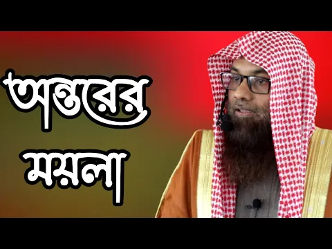 অন্তরের ময়লা