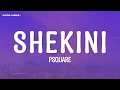 PSquare - Shekini (Lyrics)