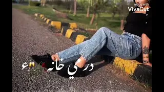 عاشق شدیم به یارک بیگانه 