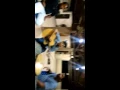 Download Lagu Dormi na praça - Trio de três