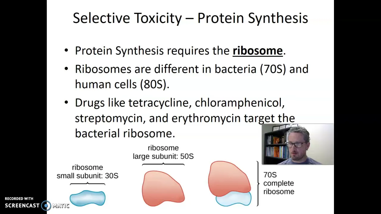 Selective Toxicity