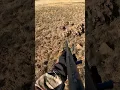 Download Lagu Blesbuck Take Down from Helicopter! #hunting #helicopterhunting