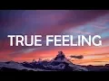 Download Lagu Galantis - True Feeling (Lyrics / Lyric Video)