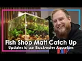 Download Lagu @FishShopMatt Updates Our Blackwater Nature Aquarium | NT Labs Office Aquarium Vlog 🐟