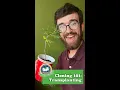 Cloning 101 Transplanting MN Cannabis College