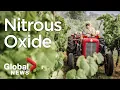 What is nitrous oxide