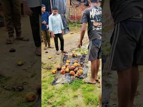 श्री कृष्ण जन्माष्टमी (1st vlog)🥰🥰 wait for end 🥰🥰🍓🍓 #shorts #trending #viral #youtube #vlog #blog